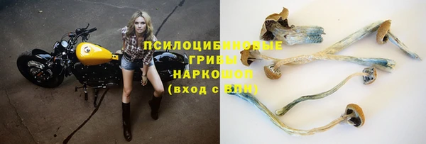 стафф Куйбышев
