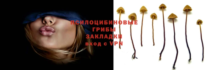 spice Красноперекопск