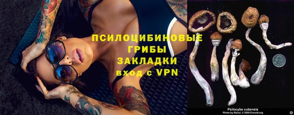 стаф Краснотурьинск