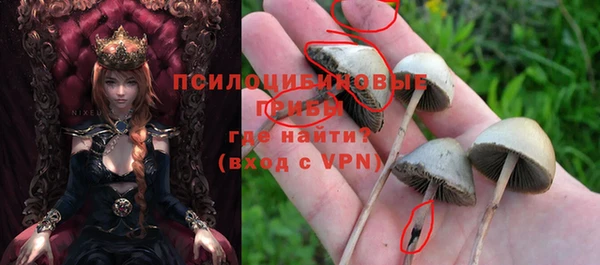 стафф Куйбышев